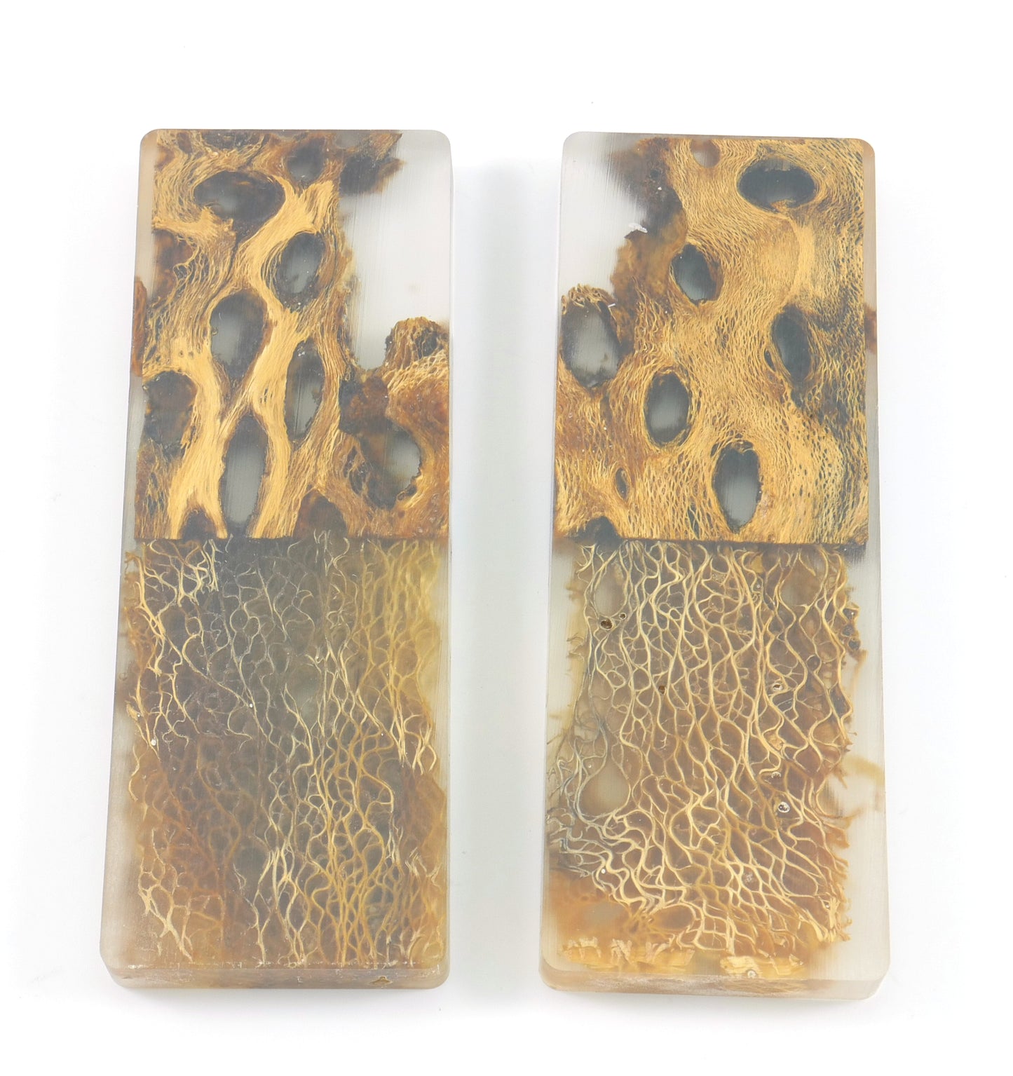 Top Choice - Cholla Knife Scales