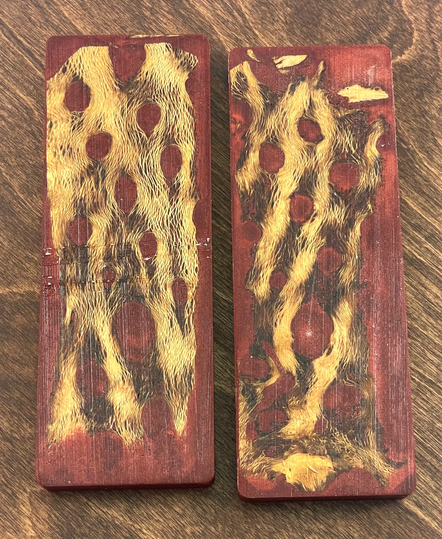 Top Choice - Cholla Knife Scales