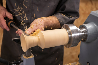 Axminster GK100 Chuck & Backplate