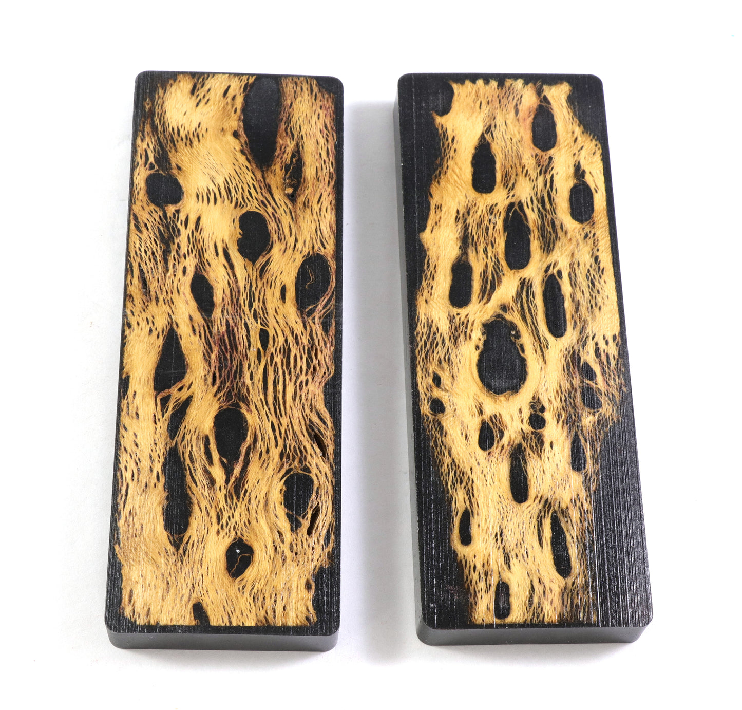 Top Choice - Cholla Knife Scales