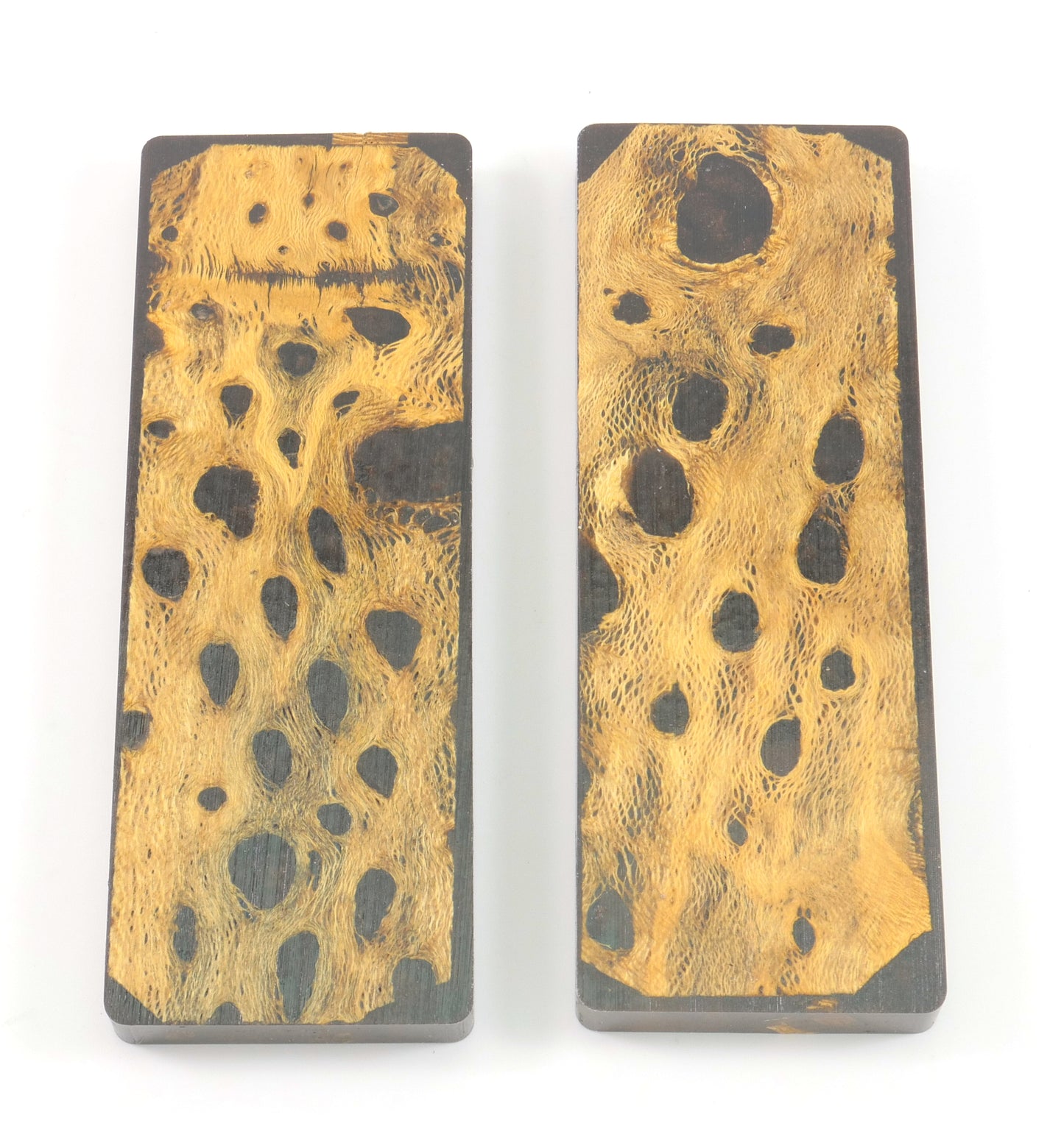 Top Choice - Cholla Knife Scales