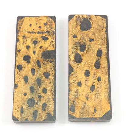 Top Choice - Cholla Knife Scales