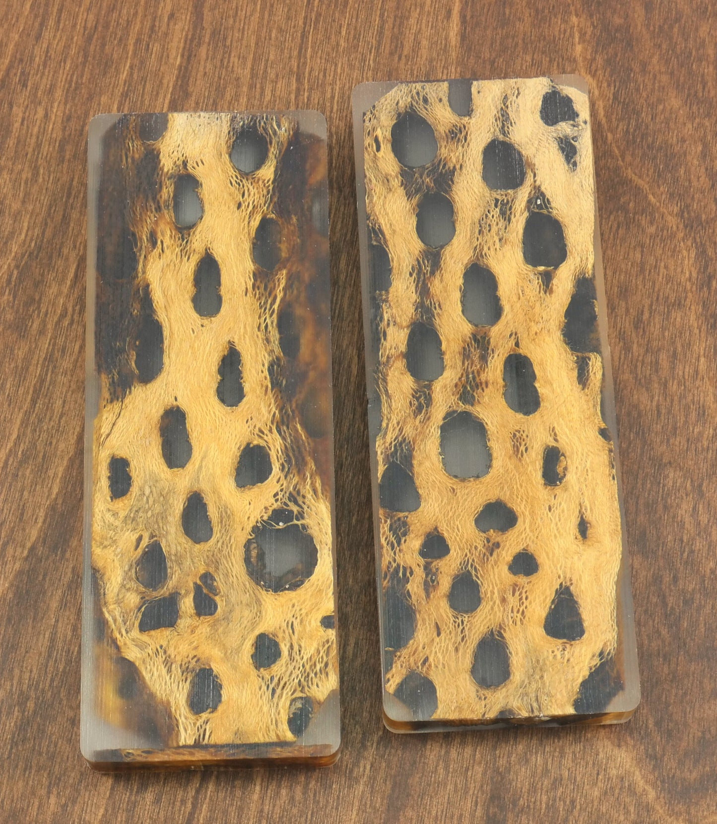 Top Choice - Cholla Knife Scales