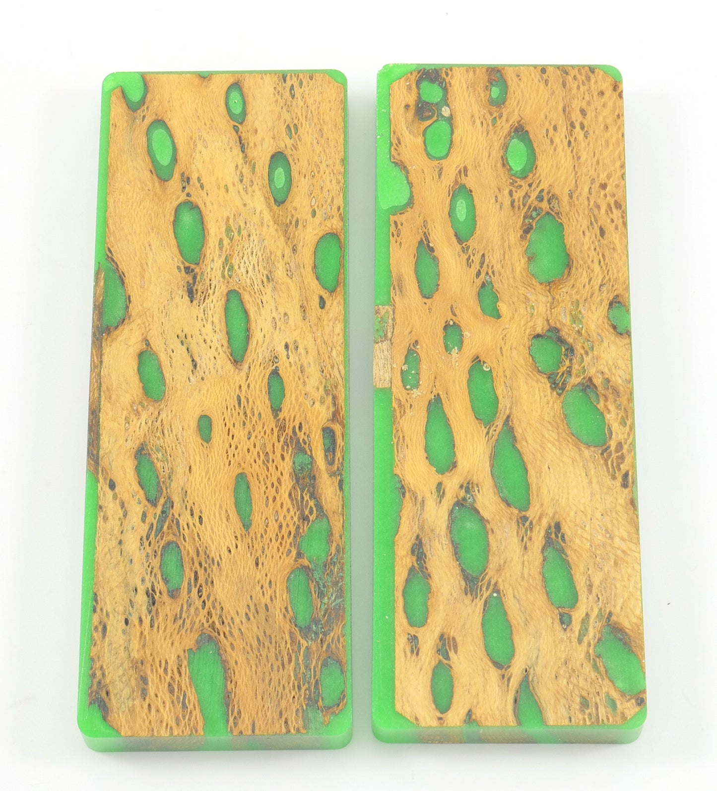 Top Choice - Cholla Knife Scales