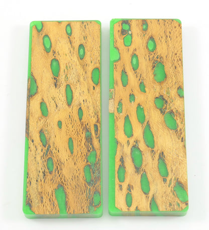 Top Choice - Cholla Knife Scales
