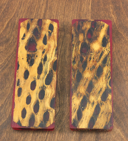 Top Choice - Cholla Knife Scales