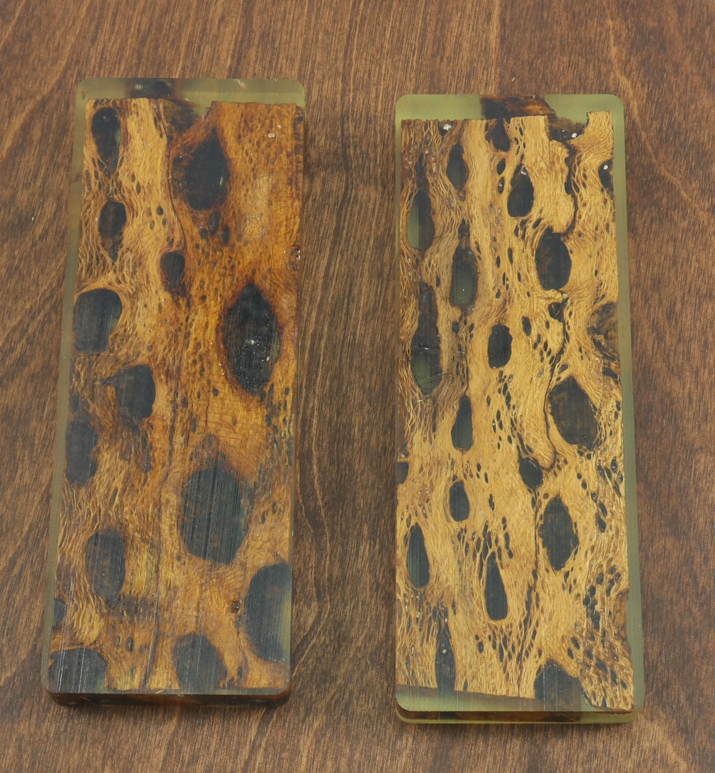 Top Choice - Cholla Knife Scales