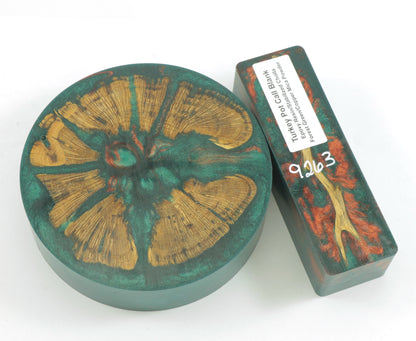 Cholla Turkey Pot Call Blanks