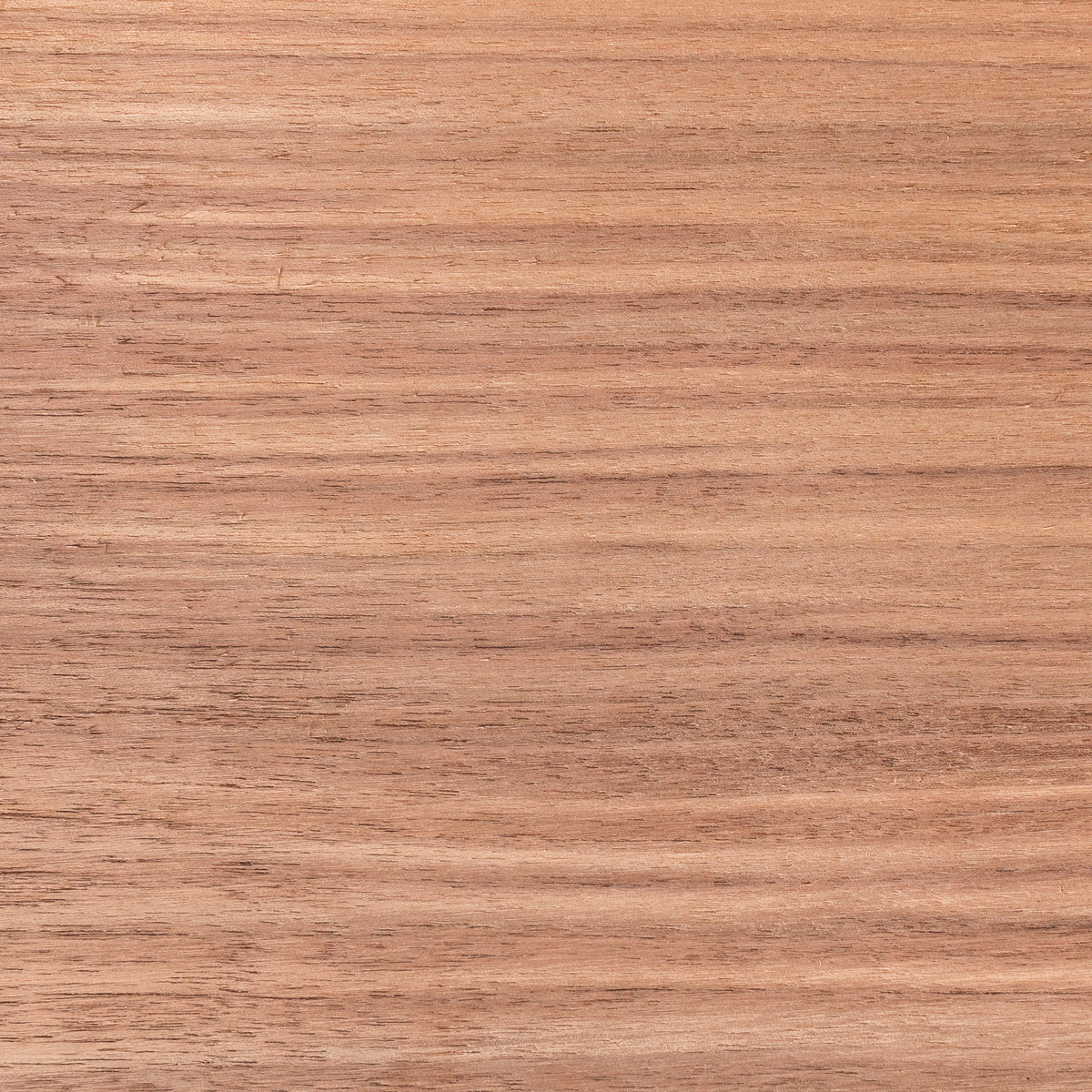 Wood Blank - Spindle